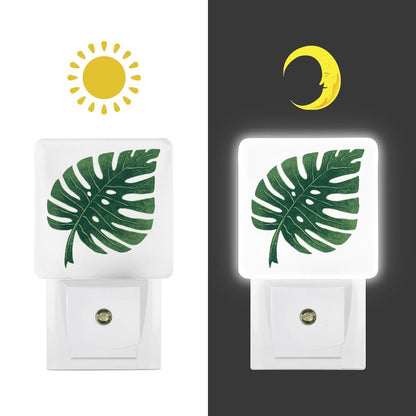 Sonstera Smart LED Night Light
